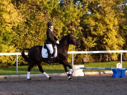 IMG_7845_web